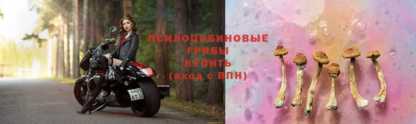 MESCALINE Аркадак